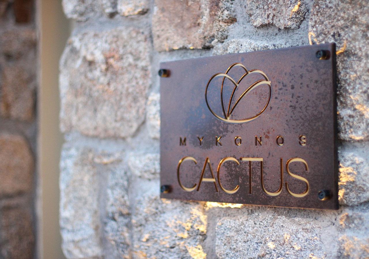 Hotel Mykonos Cactus Ornos  Esterno foto